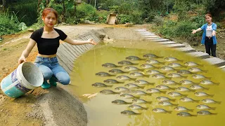 TIMELAPSE: 200 Days of Building a Farm in the Forest, p2 lives off the grid and farms