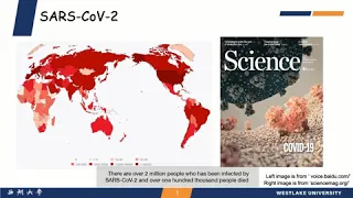 Structure-guided design of SARS-CoV-2 antivirals