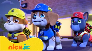 Rubble & Crew | Die Crew schafft Schatten! | Nick Jr. Deutschland