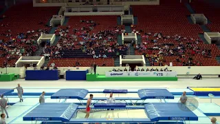 ZHUK Artsiom (BLR) - 2018 Trampoline Worlds, St. Petersburg (RUS) - Qualification Trampoline R2