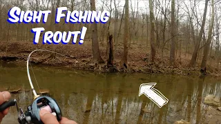 Bait Finesse TROUT Fishing with the 2022 Shimano Aldebaran BFS