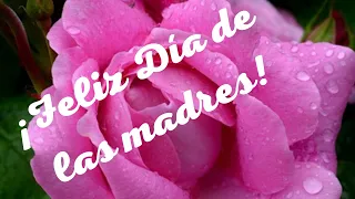 FELICIDADES A TODAS LAS MADRES EN SU DIA, ENVIO UN FUERTE ABRAZO