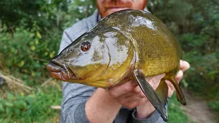 Targeting Slimy Green Tench On The Canal!