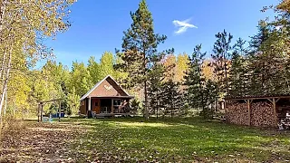 Skidding Logs For The Log Cabin In The Woods: Stove Pipe Cleaning