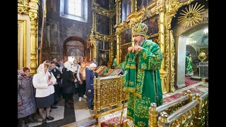 Слово митрополита Савватия в Неделю  ваий в Введенском соборе г.Чебоксары  28 04 2024г