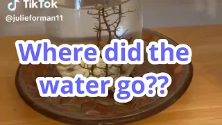 ￼Where did the water go?