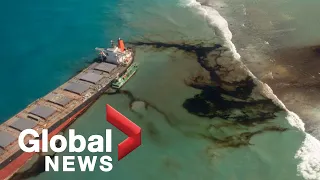 Mauritius oil spill: Experts fear catastrophic ecological disaster