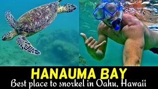 Hanauma Bay Snorkeling - BEST place to Snorkel in Hawaii #snorkeling #hawaiitravel