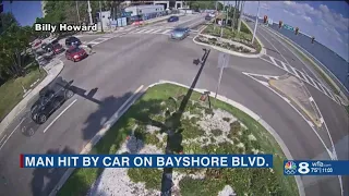 Family, police hope to identify driver who hit 84-year-old man on Bayshore Boulevard