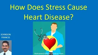 How Does Stress Cause Heart Disease?