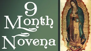 9 Month Novena | Our Lady of Guadalupe | Cardinal Burke #catholicprayer