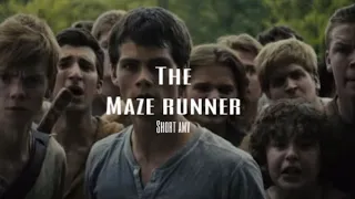 Pompeii (maze runner) short amv :)