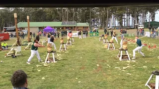 Woodchopping Final 325mm Tasmanian Standing Block Champ Launceston Show 12/10/23 @amandabeams3354