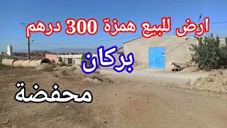 أرض للبيع بركان {300 درهم} سيدي علي بن يخلف محفضة 6250 متر مربع