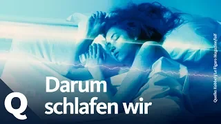 Mehr als lebenswichtig: Darum schlafen wir! | Quarks