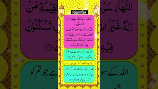 Surah Al-Qasas Ayat 70-73 #shortfeed #shorts #short #quran #ytshorts #tiktok #snack #islam #2022