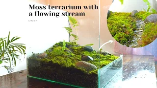 how to make a moss terrarium with a flowing stream| moss garden terrarium| paludarium