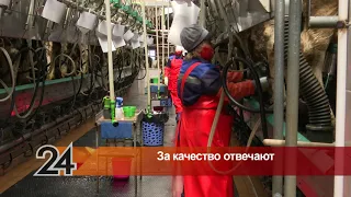 В Альметьевском районе появится новый кормоцентр