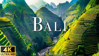 Bali 4K - Scenic Relaxation Film With Calming Music  (4K Video Ultra HD)