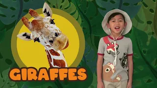 My Animal Research about Giraffes | Distance Learning School Project in First Grade