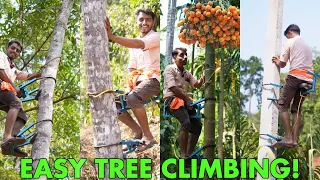 Tree Climbing Machine | Innovative Techniques For Climbing And Harvesting Tall Trees Effortlessly