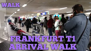 Arrival Walk from Concourse to Baggage Claim Area to Exit at Frankfurt Airport T1