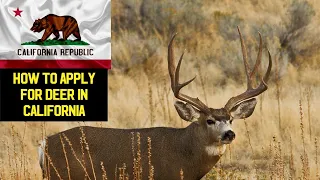 California Deer Application! (How To Apply)