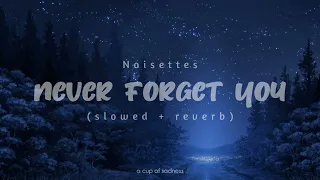 noisettes - never forget you (slowed + reverb) (lyrics)