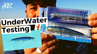 They Sent Us Lures to Test Calissa Flash Minnow v Lucky Craft Testing Under water footage Pt 2