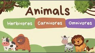 Animals - herbivore, carnivore, and omnivores quiz.