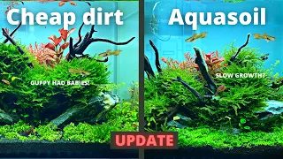 CHEAP DIRT vs EXPENSIVE AQUASOIL 2 MONTH UPDATE!