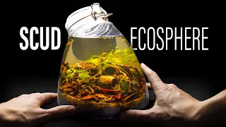 Botanical Scape Scud Ecosphere