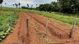 Como fazer irrigação utilizando bomba de roda dágua!