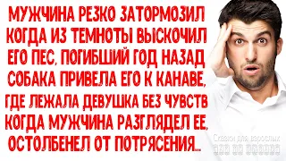 Увидел своего пса погибшего год назад, который привел его к девушке лежавшей без чувств и остолбенел