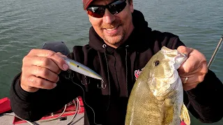 Top Lures for September and Why | Fall Bass Fishing Tips