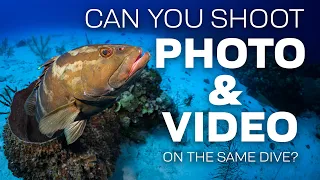Can you shoot Photo & Video on the same dive?