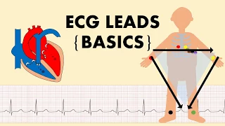 ECG Explained: ECG Leads /The Basics of ECG - Part 1/