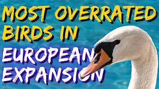 5 most overrated birds in Wingspan European Expansion!