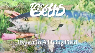 The Beths - "Expert In A Dying Field" (Official Visualizer)