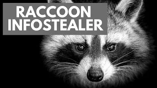 Raccoon Infostealer Malware