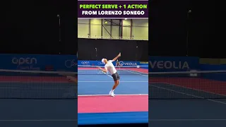 PERFECT SERVE + 1 ACTION FROM LORENZO SONEGO #tennis #shorts