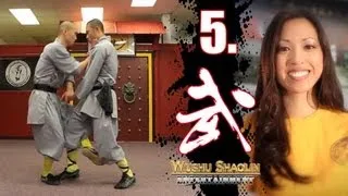 Kung Fu Tutorial 5 : Qi Xing Quan 少林七星拳 : Wushu Shaolin Online Study