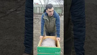 Своевременное подкормка пчёл рано весной 🌱. Канди, пыльцовая Канди, залог сильной пчелосемьи.