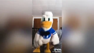 TIK TOK | HIT OR MISS - DONALD DUCK