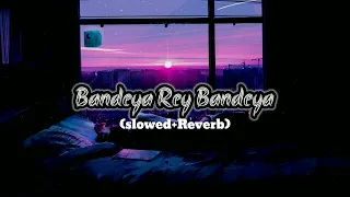 Bandeya Rey Bandeya - Arijit Singh Simmba Song | (Slowed and Reverb)Lofi Mix#arijitsingh