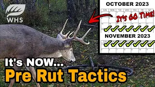How To Bowhunt The Pre Rut