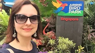 Влог из Сингапура 13: парк птиц Jurong