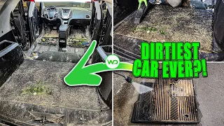 Can This DISASTER Farm SUV Be Saved?! First Clean in Years! | Insane Car Detailing Restoration!