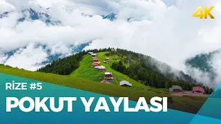 Pokut Yaylası & Sal Yaylası Turu | Çamlıhemşin, Rize