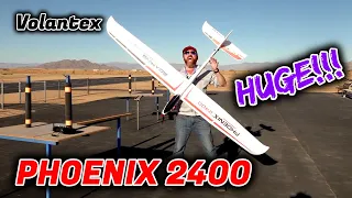 HUGE Phoenix 2400 Glider!! Flies Like a Dream!! 🛫